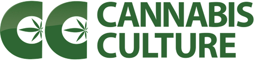 Cannabis culture logo