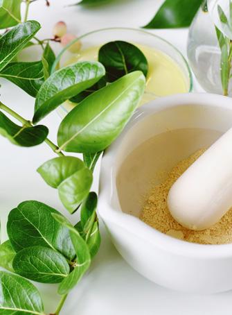 herbs with mortar and pestle