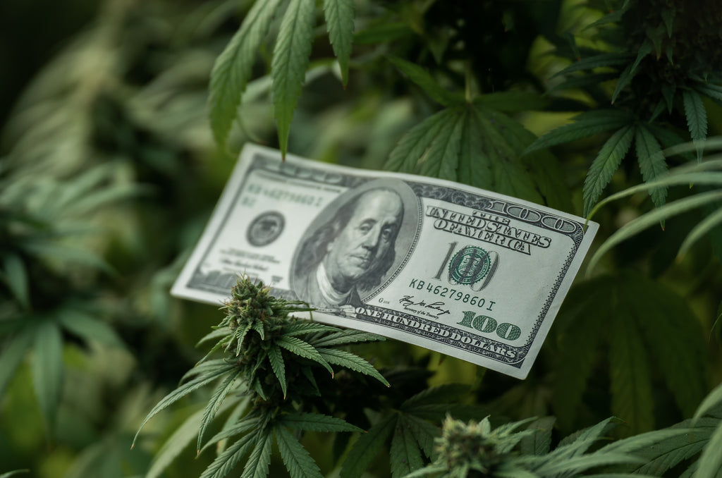 The Safe Cannabis Banking Act