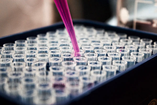 A pipette fills a block of test tubes