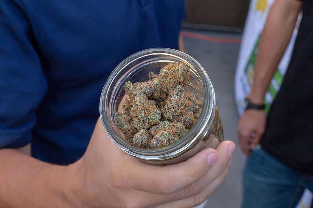 Cannabis flower in a jar