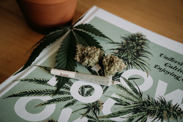 Not Just for Drug Tests: How to Use a Detox Kit to Lower Your Weed Tolerance