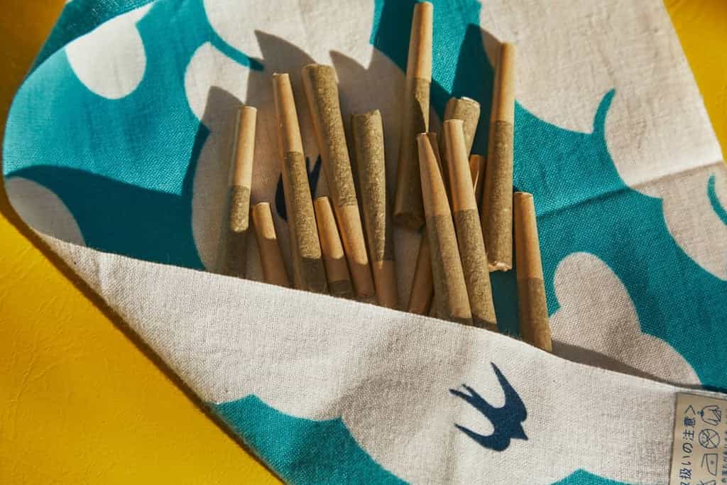 Does Weed Go Bad or Expire? How to Tell if Your Stash is Too Old