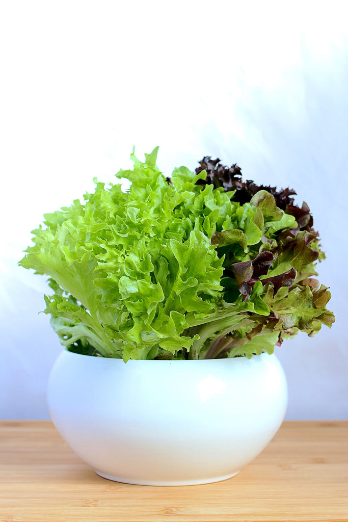 Should You Diet While You Detox? What to Know Before Combining Weight Loss With a THC Cleanse