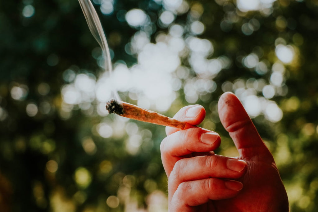 Person holding a joint