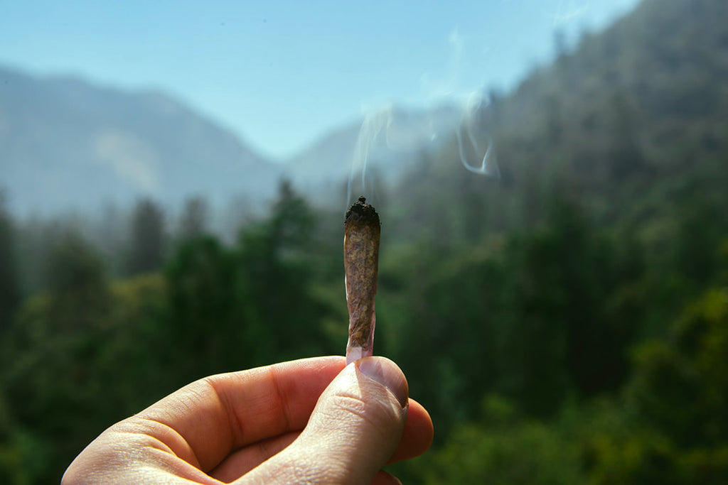 A person holding a joint