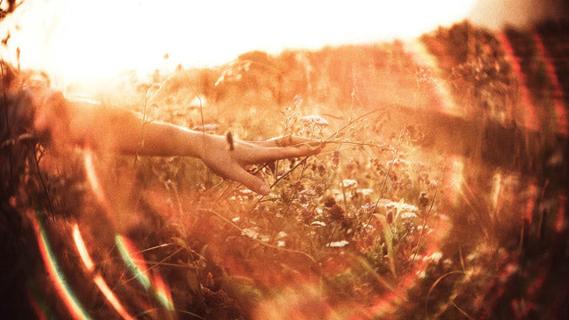 person walking through a field