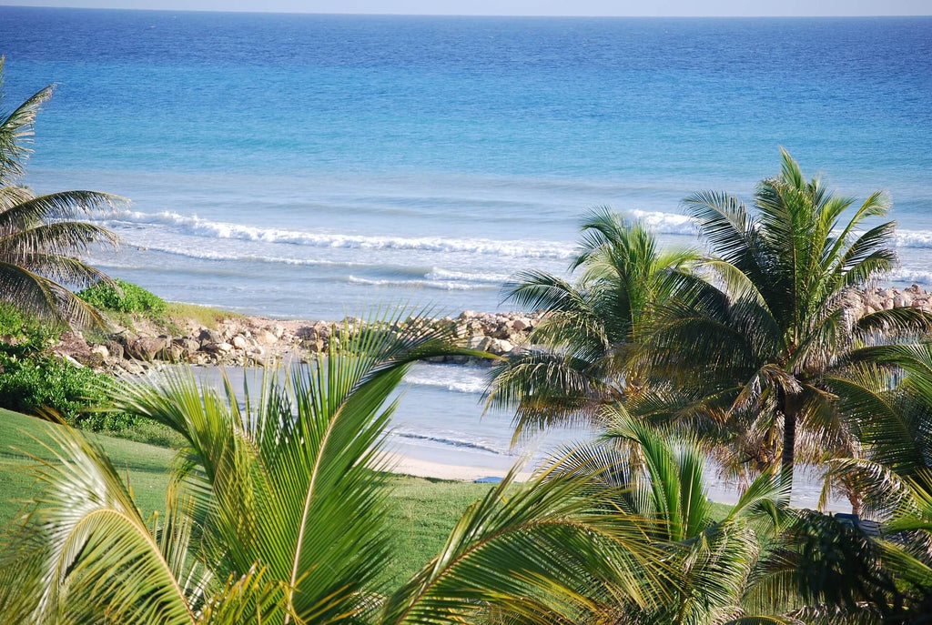 white sand beach in Jamaica